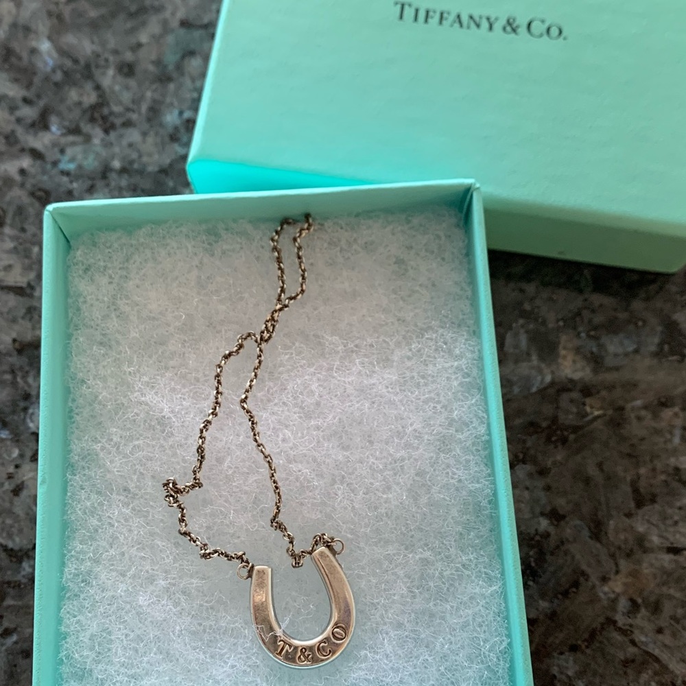 Tiffany & Co Horseshoe Pendant